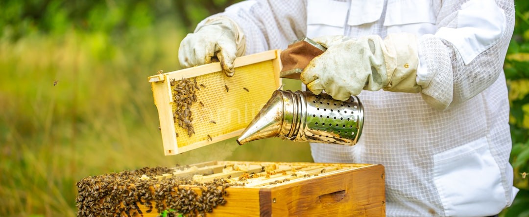 Beekeeping Heritage