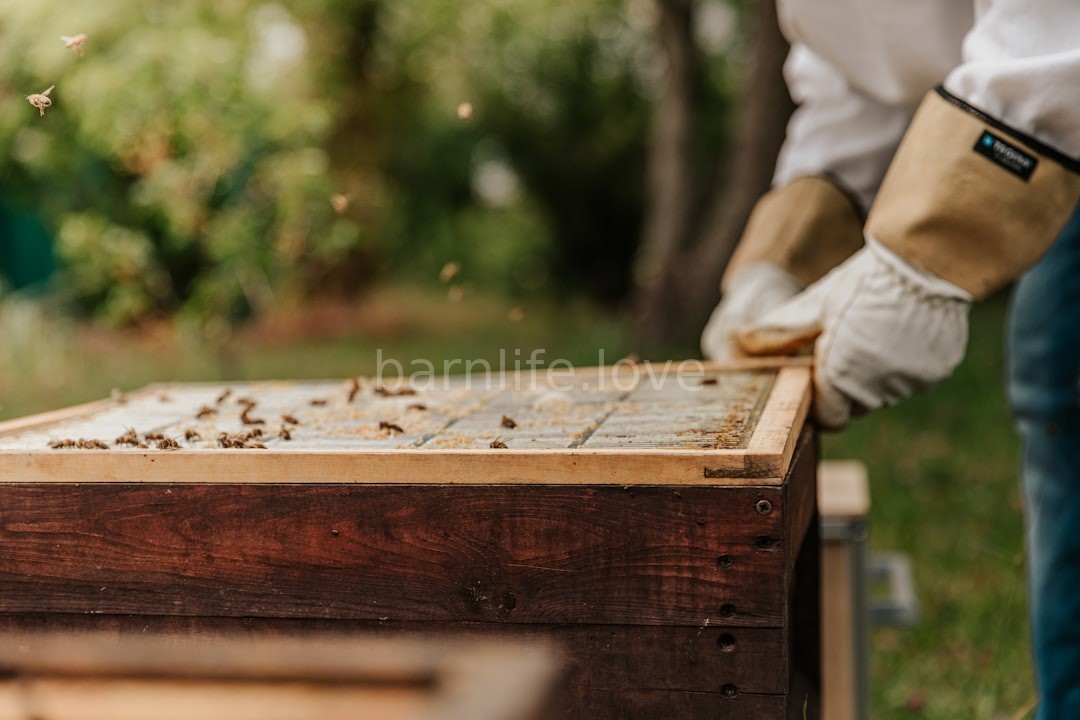 Hive Care