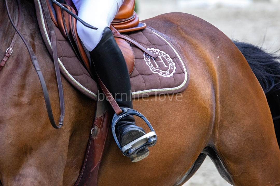Equestrian Lifestyle