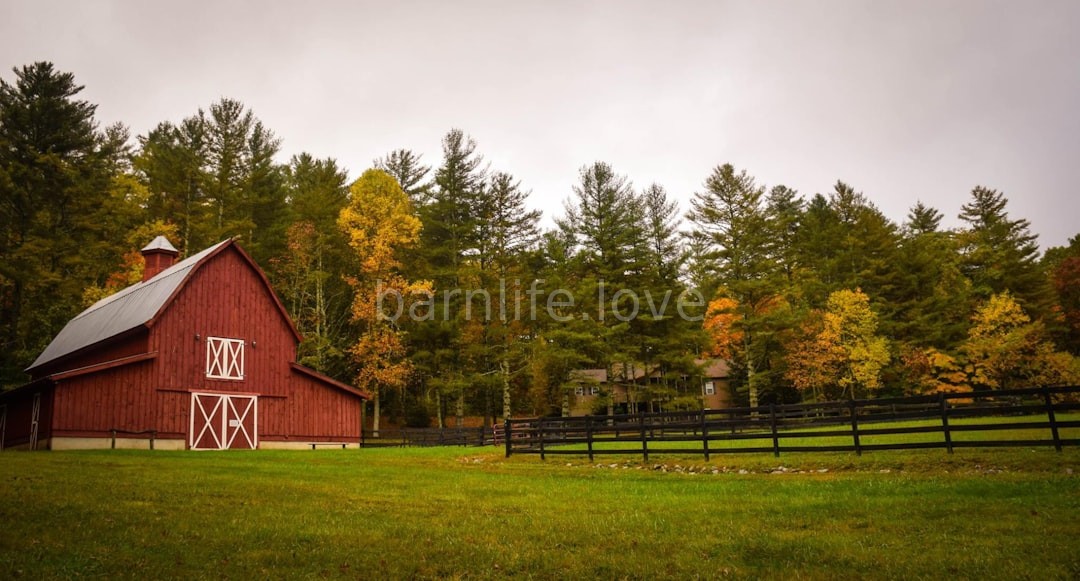 Farm Stays