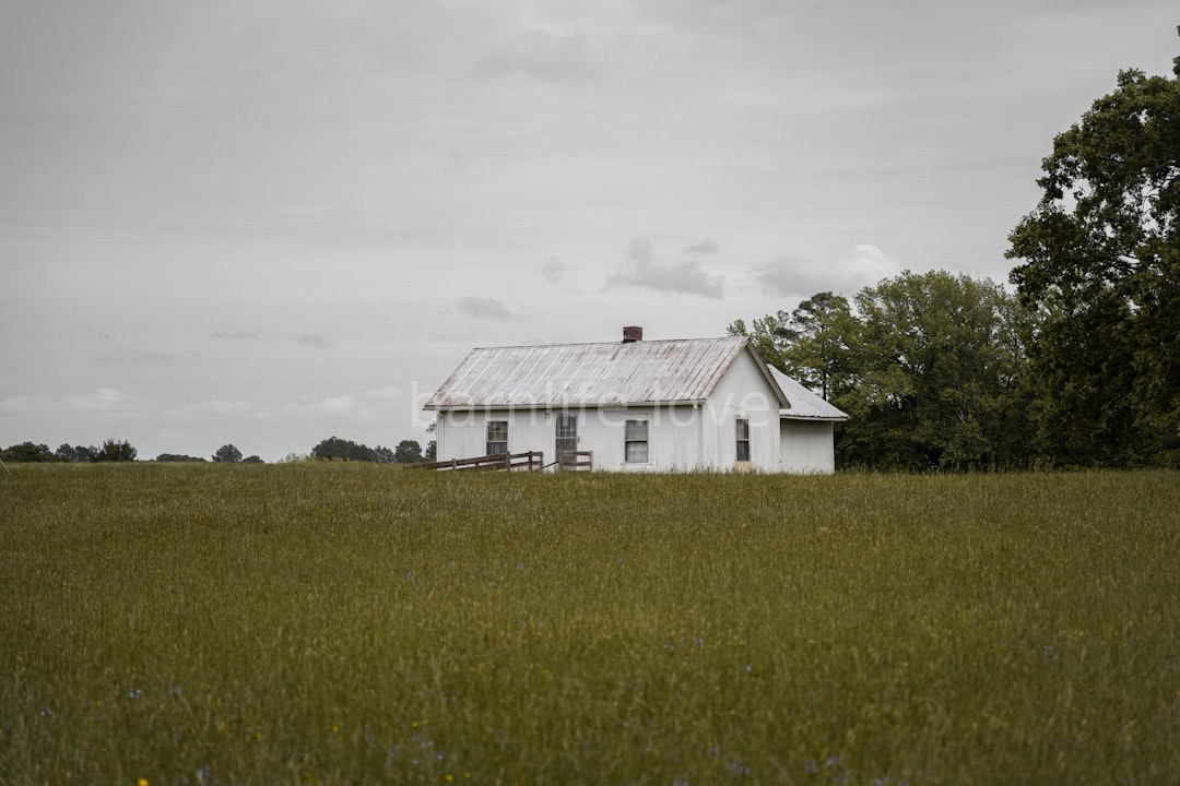 Farmhouse Interior
