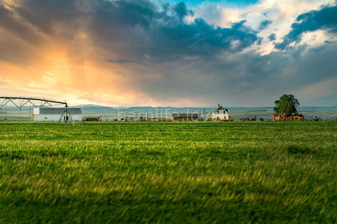Land Management
