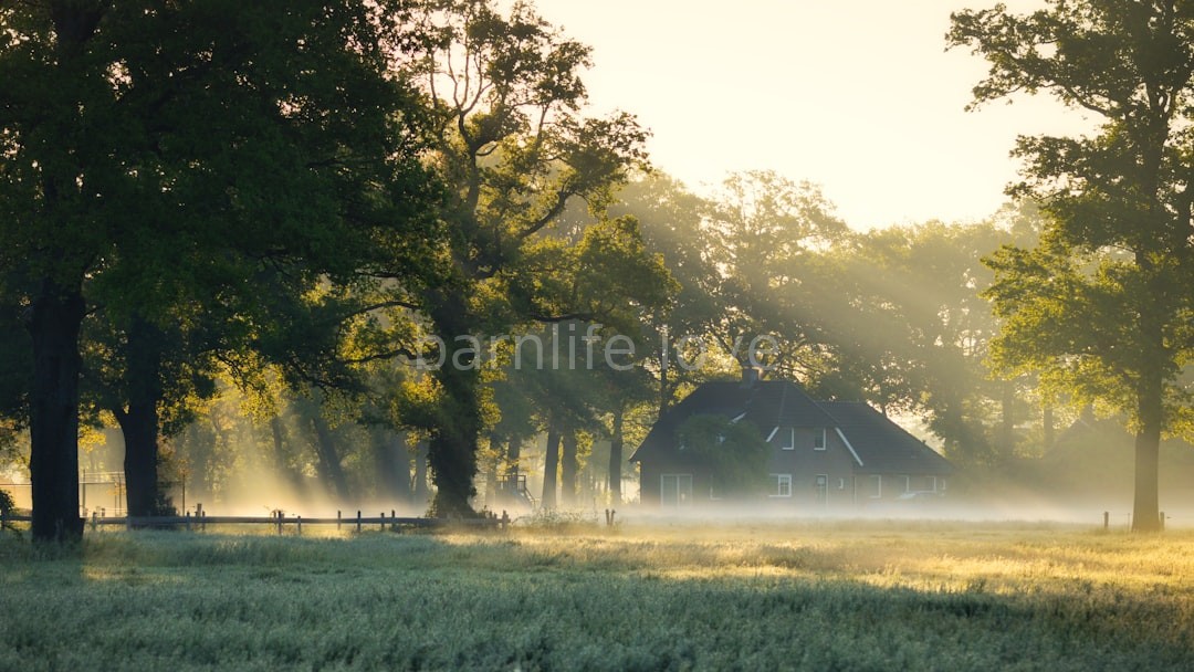 Farm life